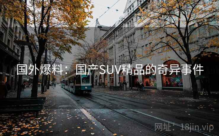 国外爆料：国产SUV精品的奇异事件