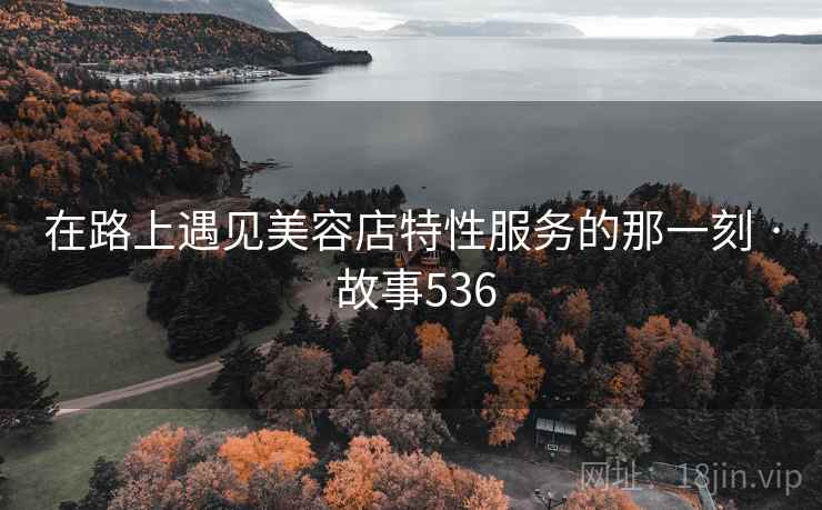 在路上遇见美容店特性服务的那一刻 · 故事536